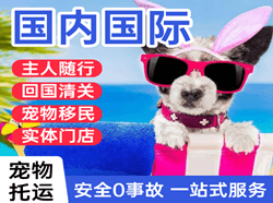 果洛玛沁国际宠物托运 【国